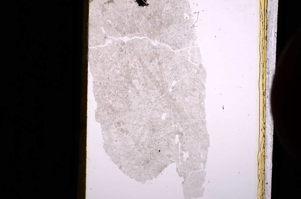 Plane Polarized, E5337