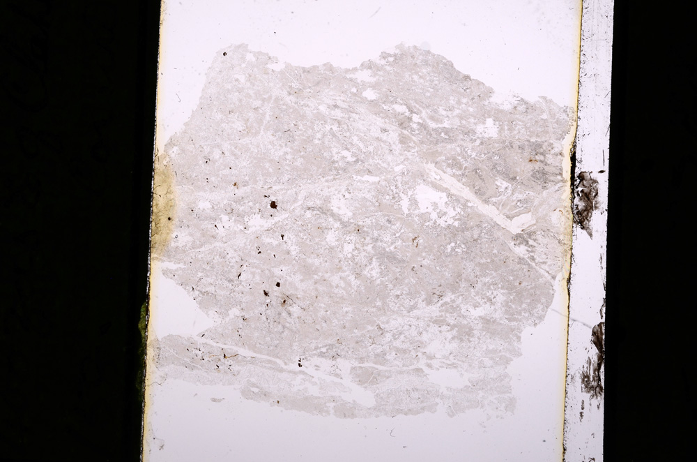 Plane Polarized, E5344