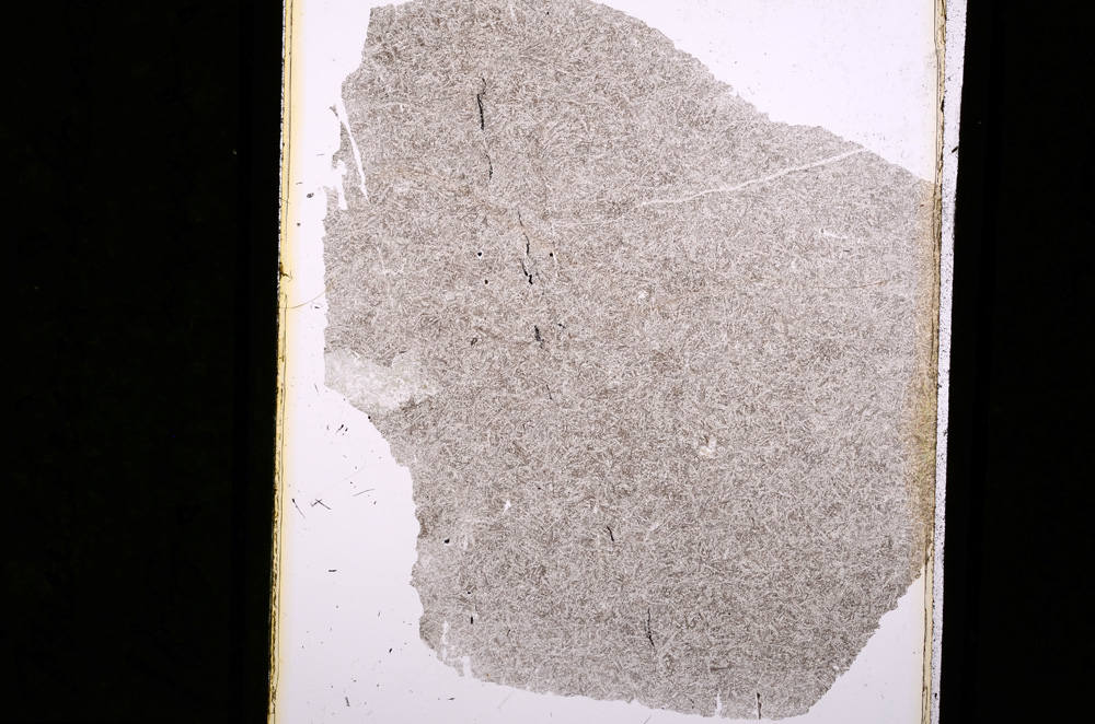 Plane Polarized, E5354