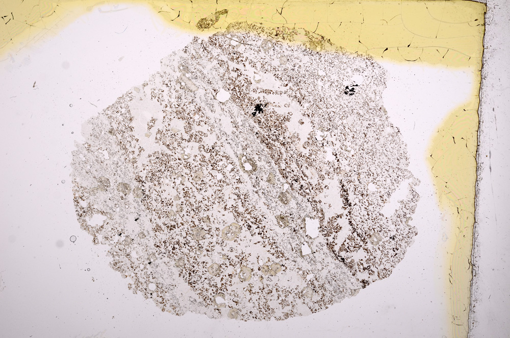 Plane Polarized, E5402