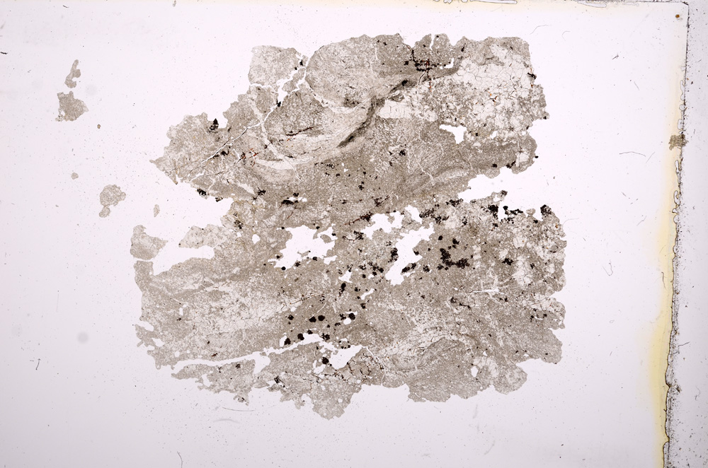 Plane Polarized, E5404