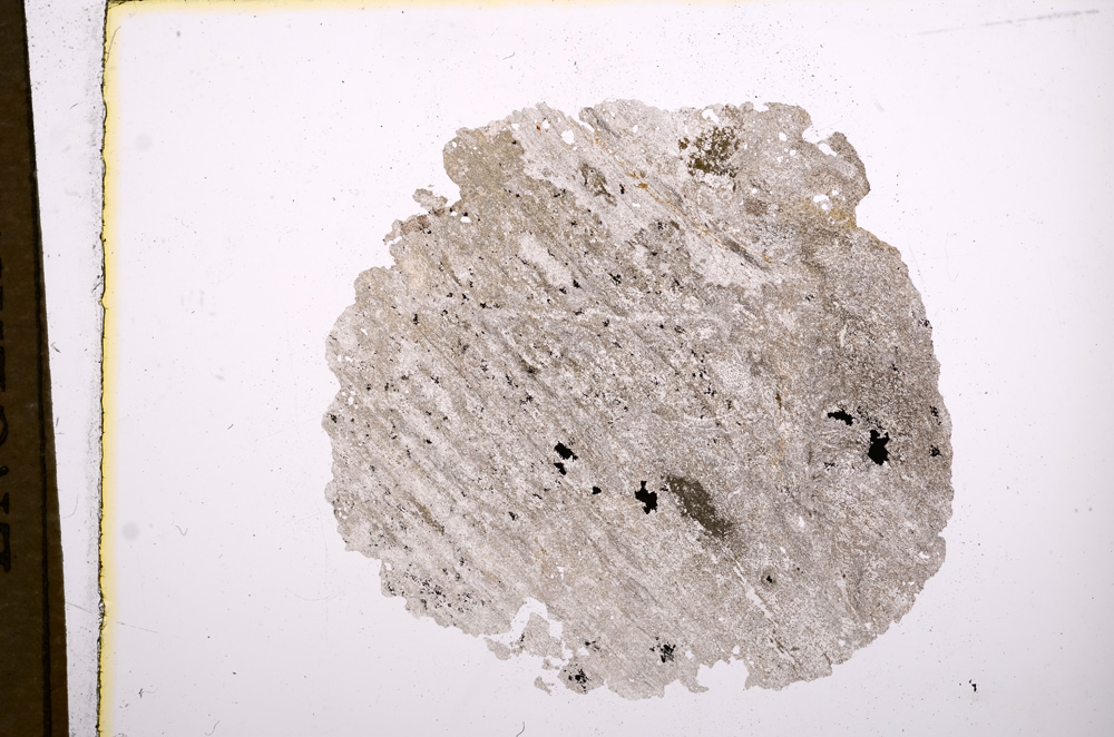 Plane Polarized, E5411