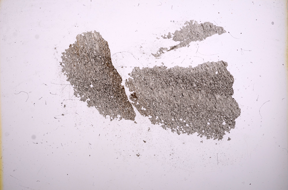 Plane Polarized, E5443