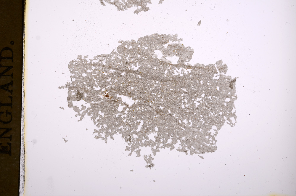 Plane Polarized, E5468