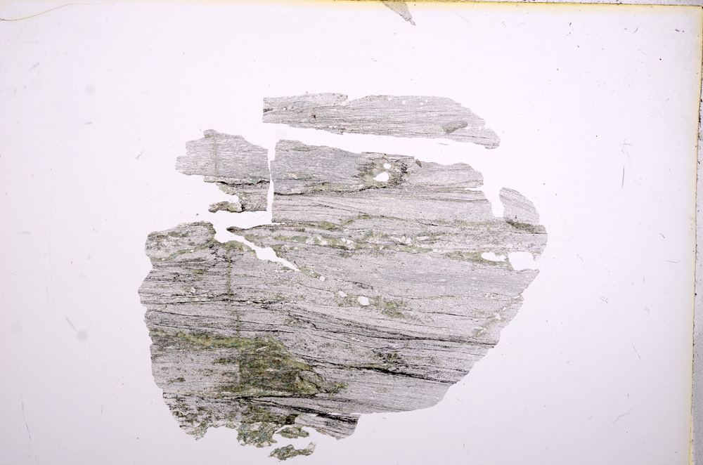 Plane Polarized, E5482