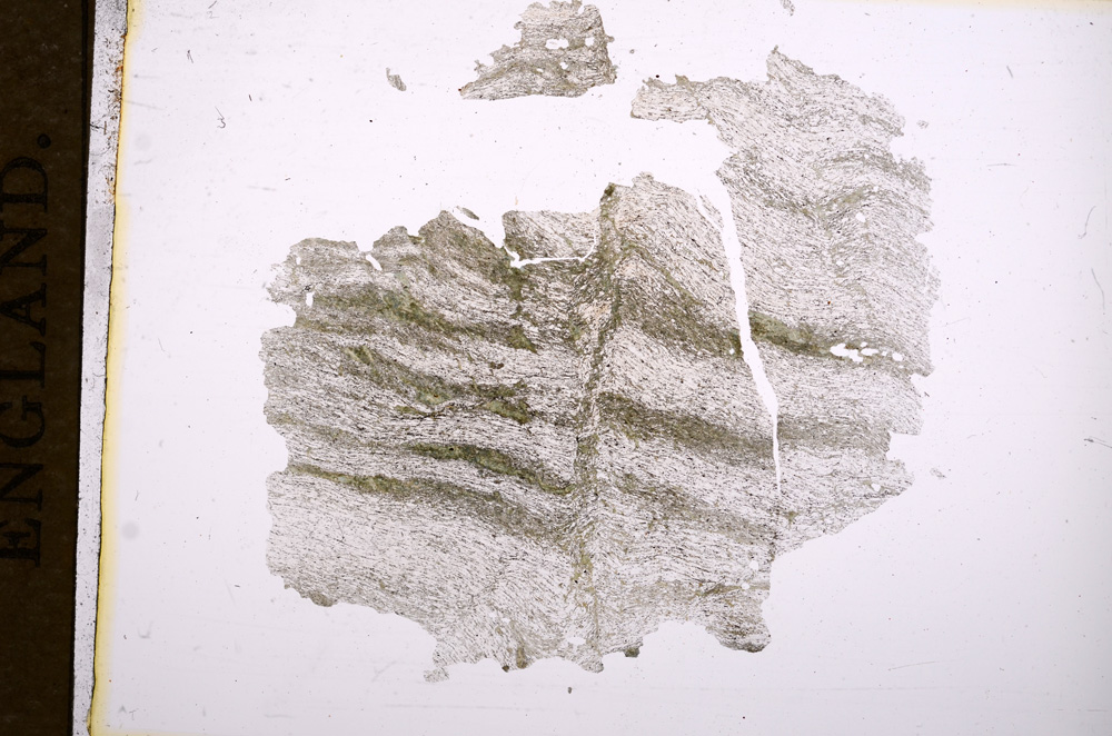 Plane Polarized, E5484