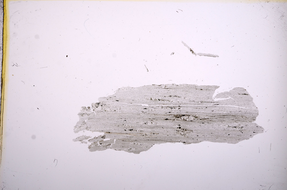 Plane Polarized, E5486