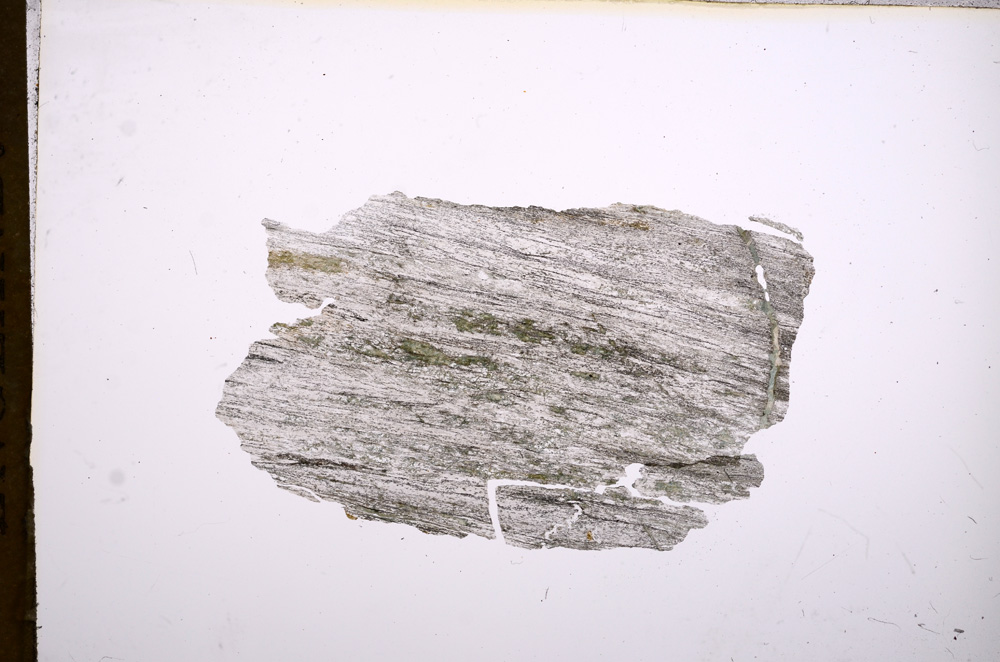 Plane Polarized, E5487