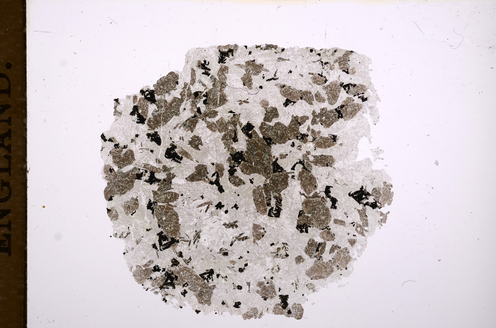 Plane Polarized, E5594