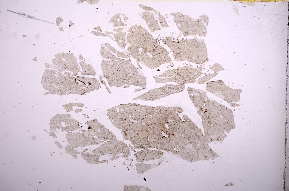 Plane Polarized, E5598