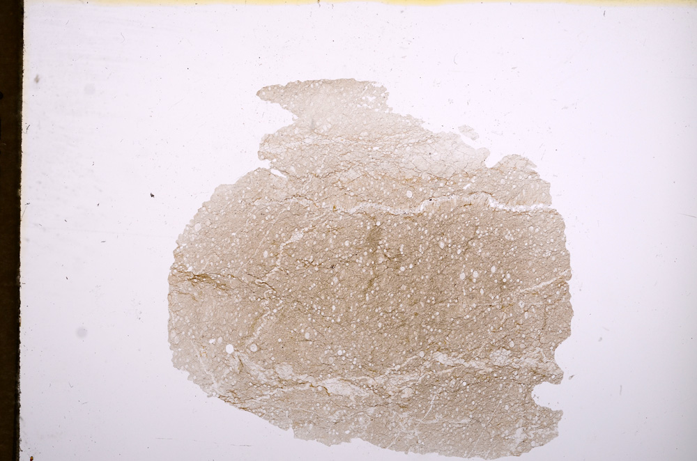 Plane Polarized, E5638