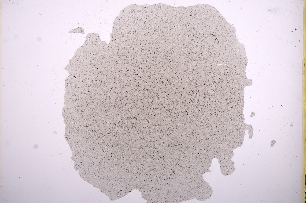 Plane Polarized, E5650