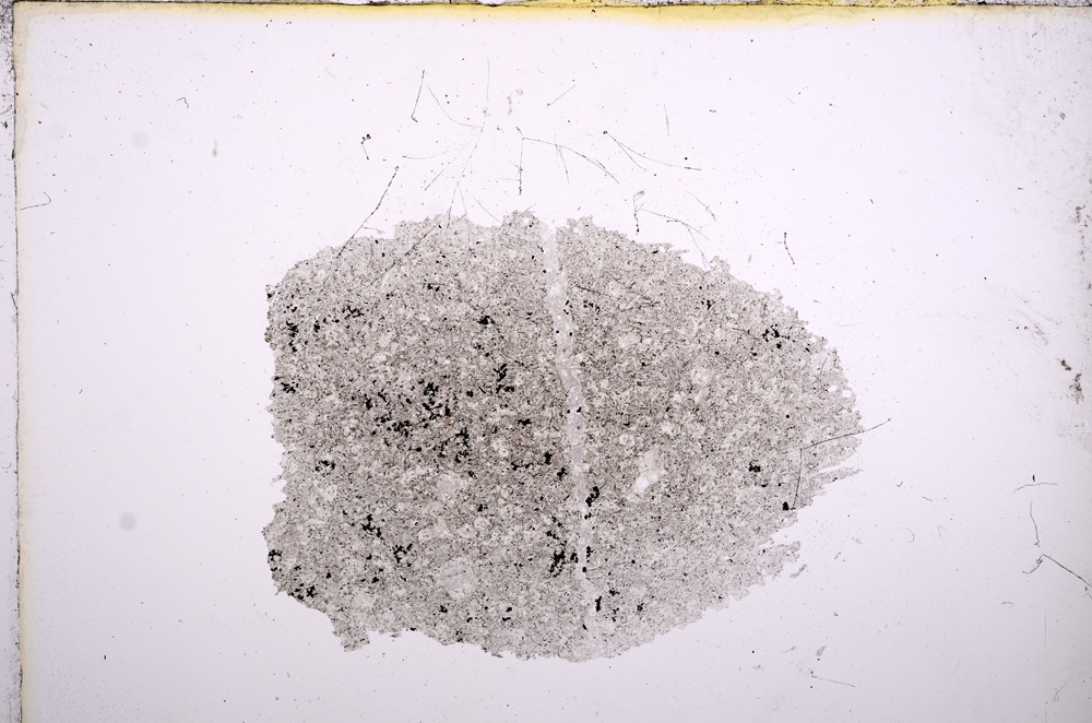 Plane Polarized, E5659