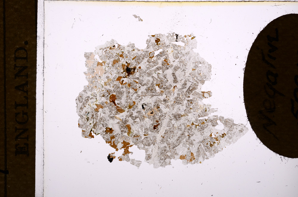 Plane Polarized, E5667