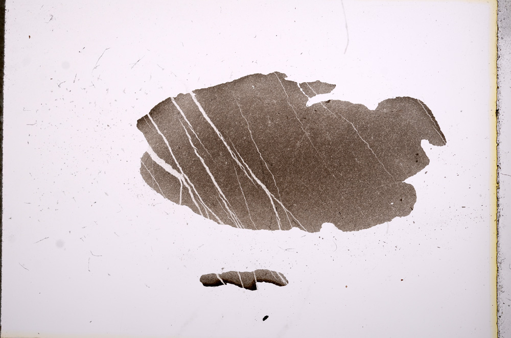 Plane Polarized, E5683