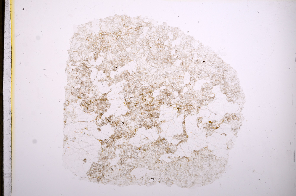 Plane Polarized, E5757