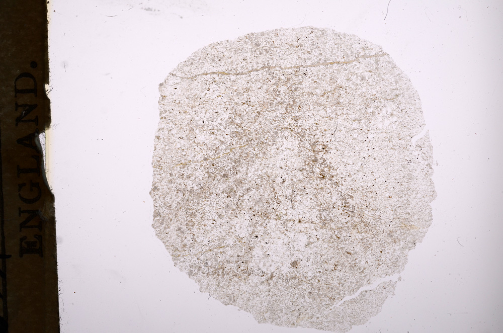 Plane Polarized, E5761