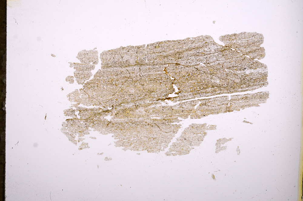 Plane Polarized, E5784