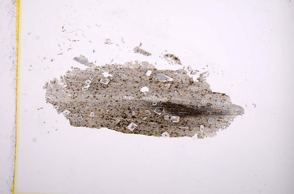 Plane Polarized, E5793