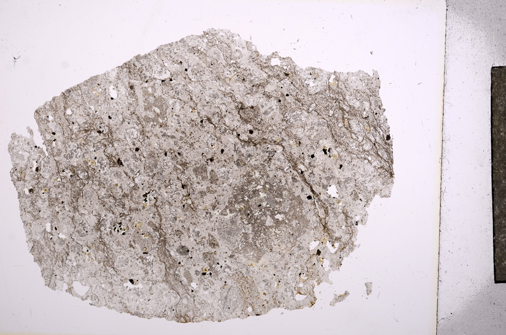 Plane Polarized, E5828