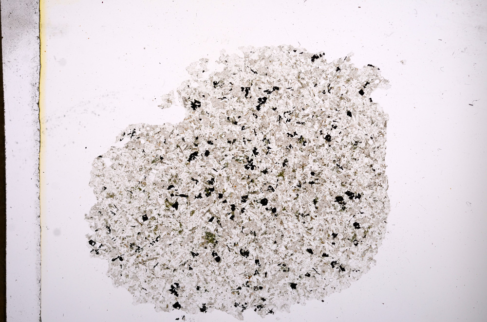 Plane Polarized, E5863