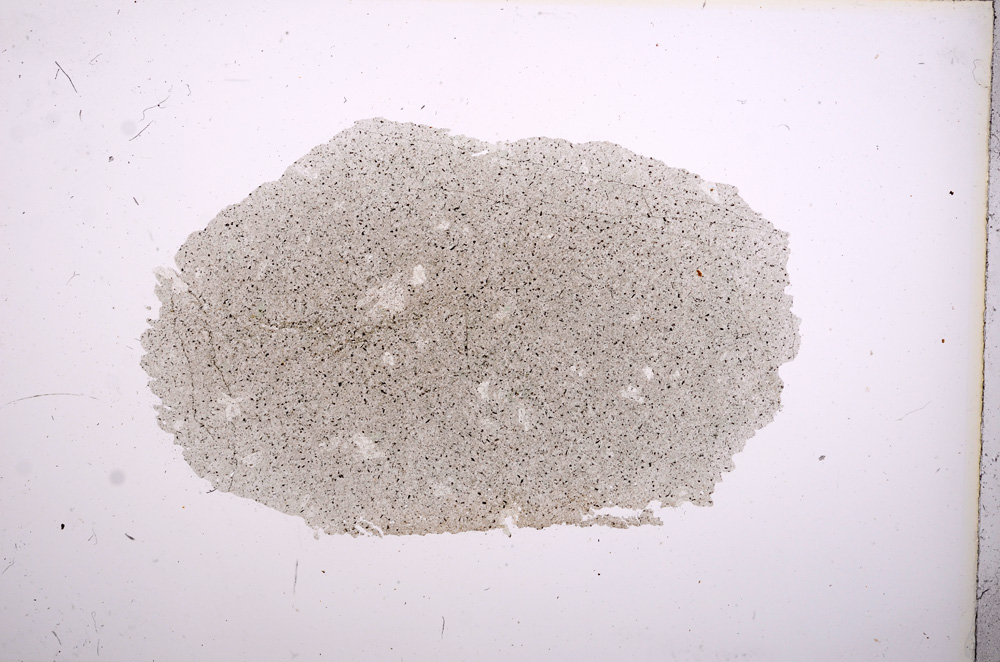 Plane Polarized, E5871