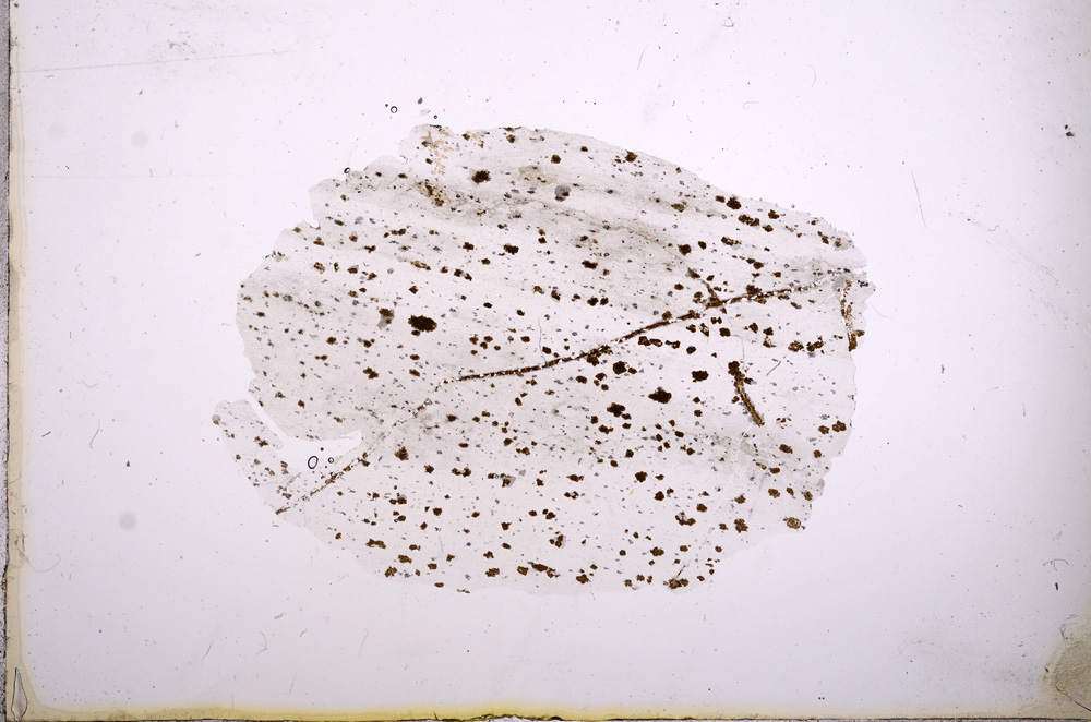 Plane Polarized, E5889