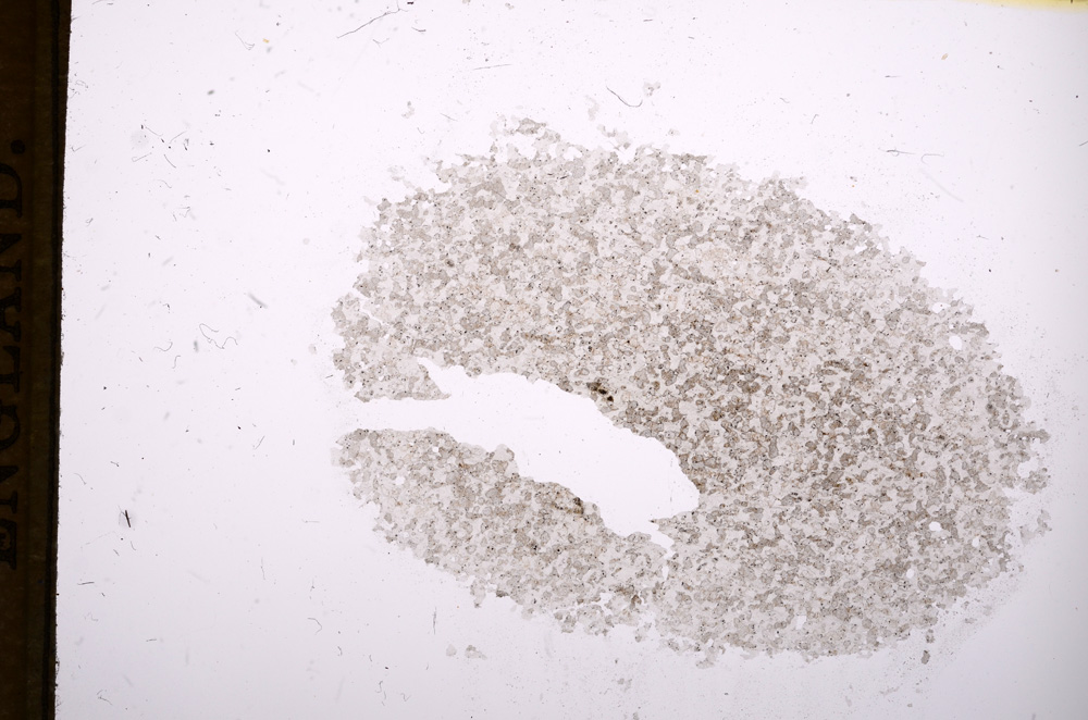 Plane Polarized, E5894