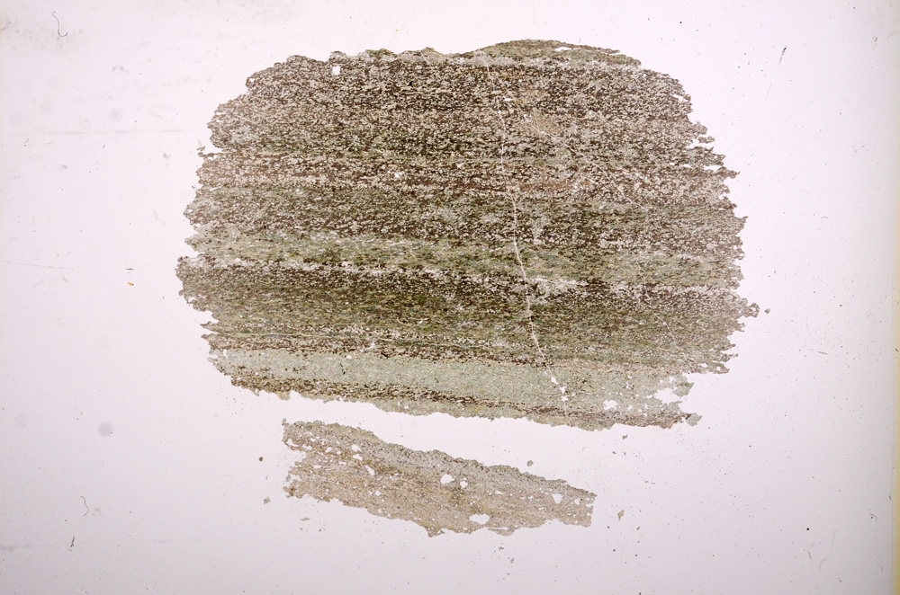 Plane Polarized, E5923