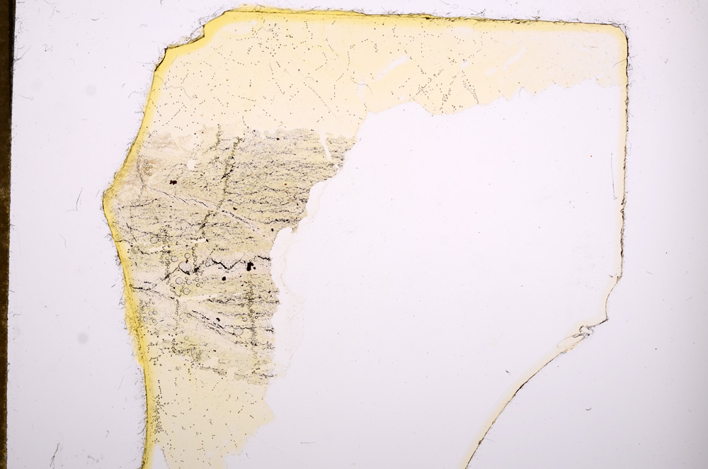 Plane Polarized, E5948