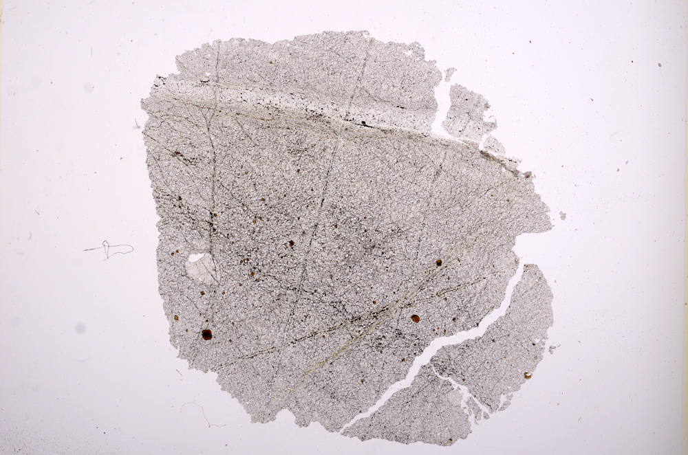 Plane Polarized, E5952
