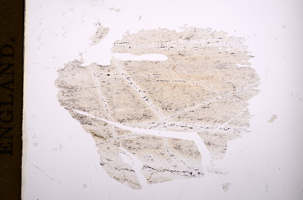 Plane Polarized, E5953