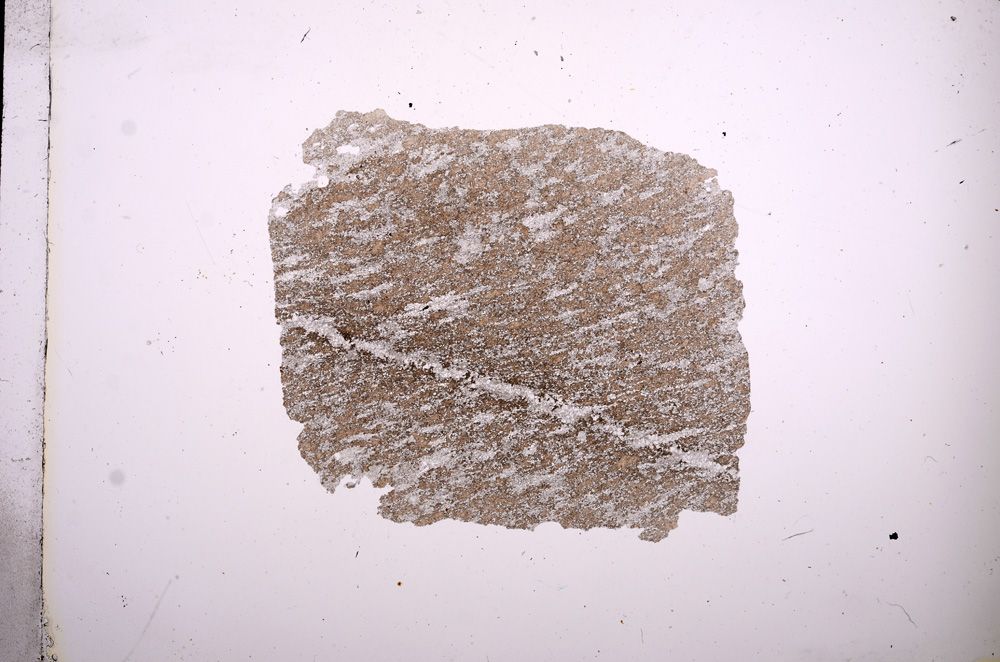 Plane Polarized, E5967