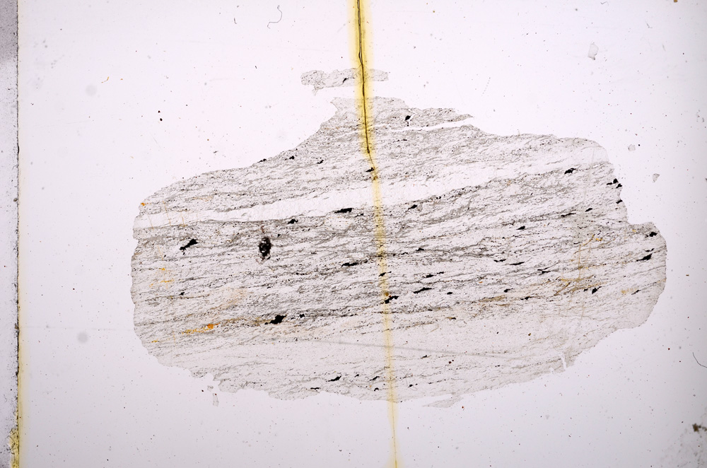 Plane Polarized, E5988