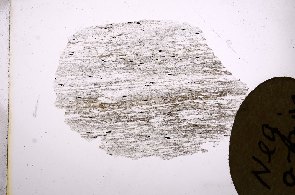 Plane Polarized, E5989