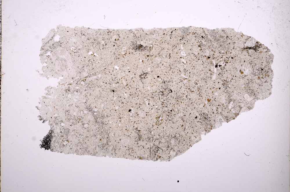 Plane Polarized, E6006