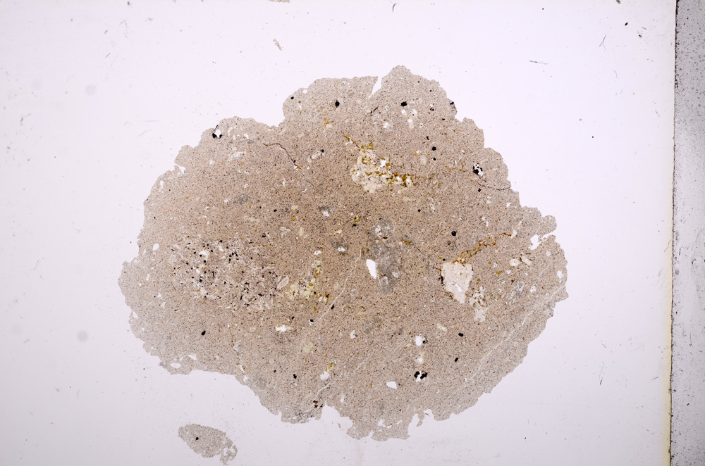 Plane Polarized, E6008