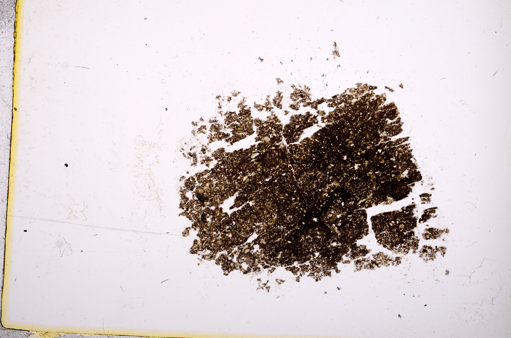 Plane Polarized, E6012