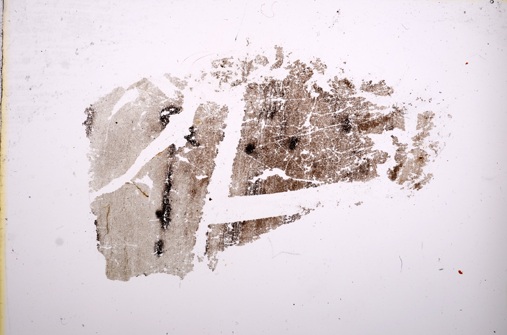 Plane Polarized, E6014