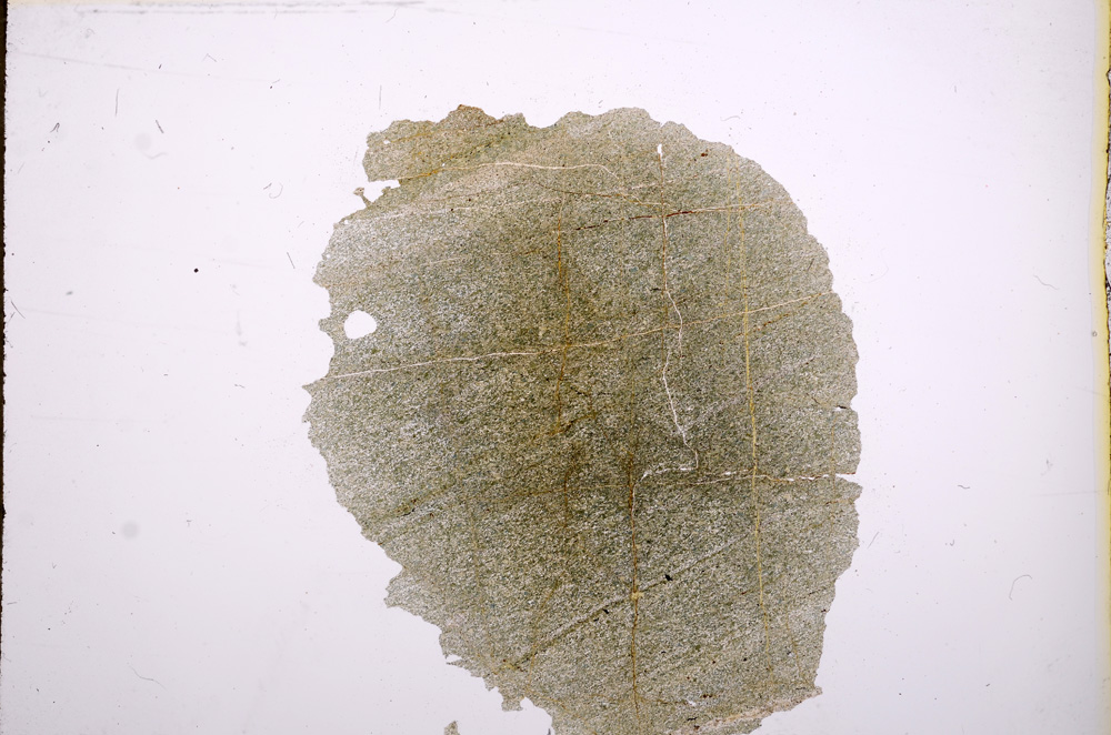 Plane Polarized, E6038