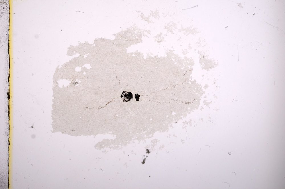 Plane Polarized, E6359