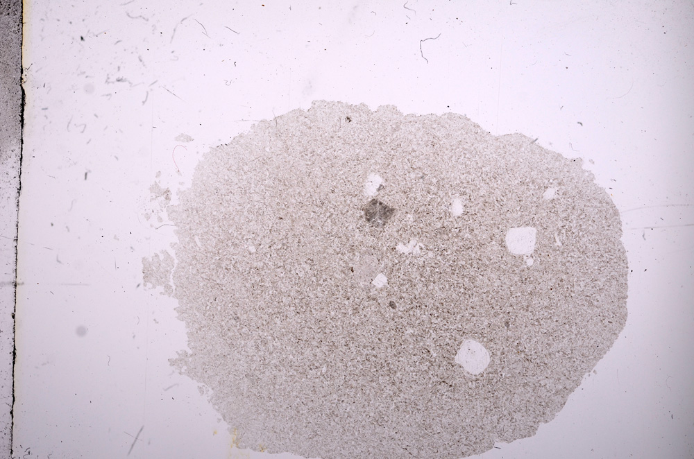 Plane Polarized, E6479