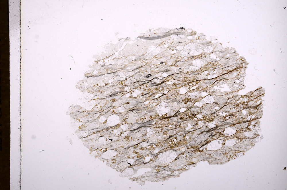 Plane Polarized, E6483