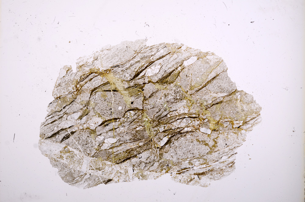 Plane Polarized, E6484