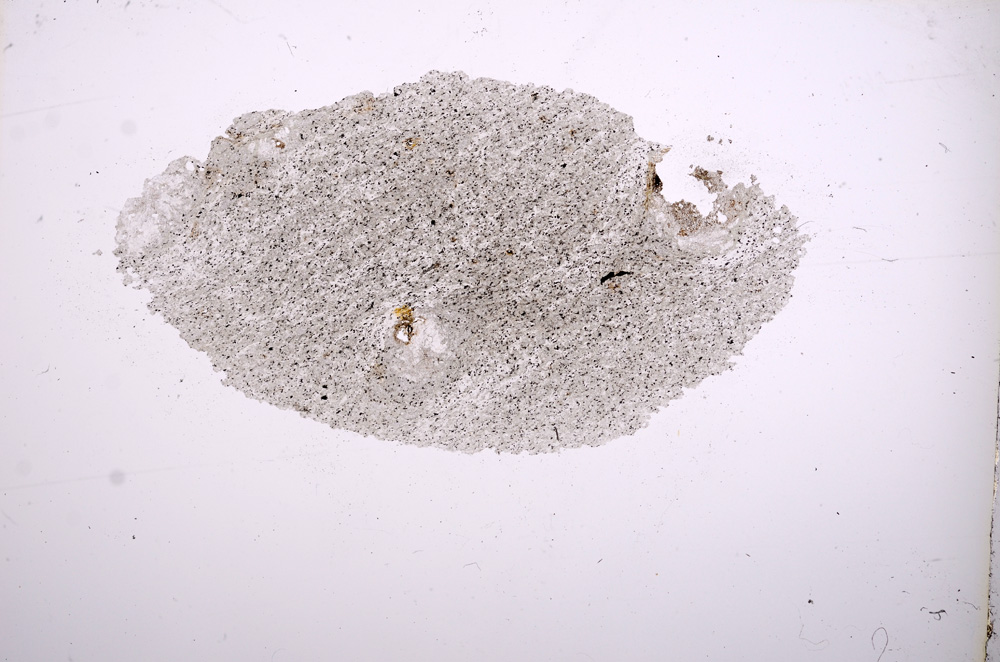 Plane Polarized, E6485