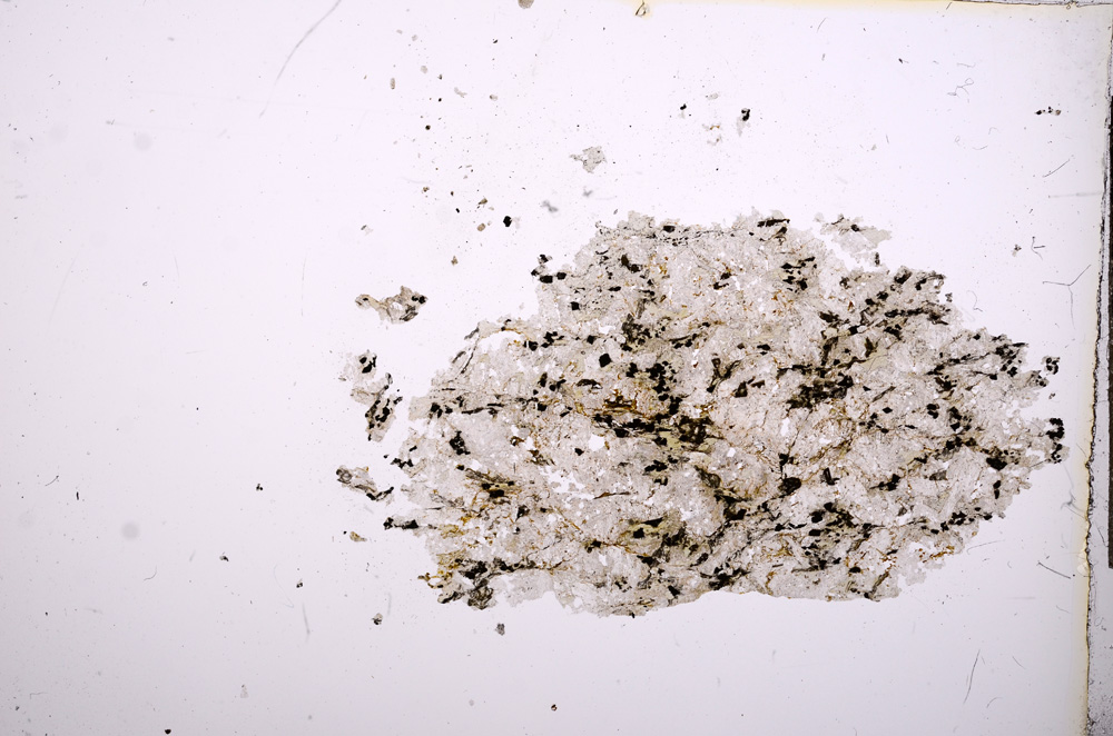 Plane Polarized, E6492