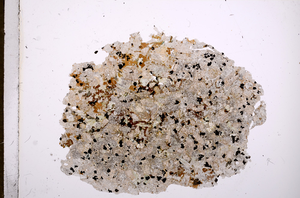 Plane Polarized, E6496