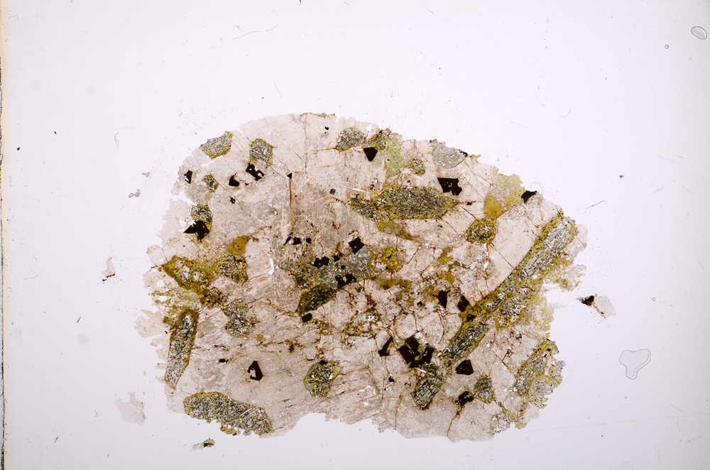 Plane Polarized, E6500