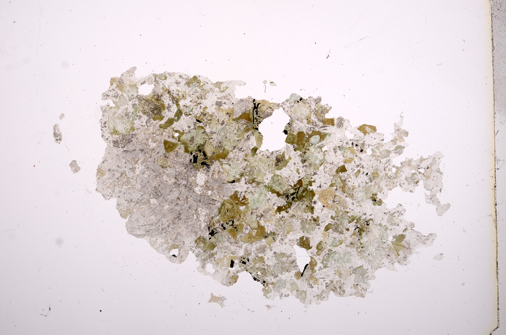 Plane Polarized, E6573