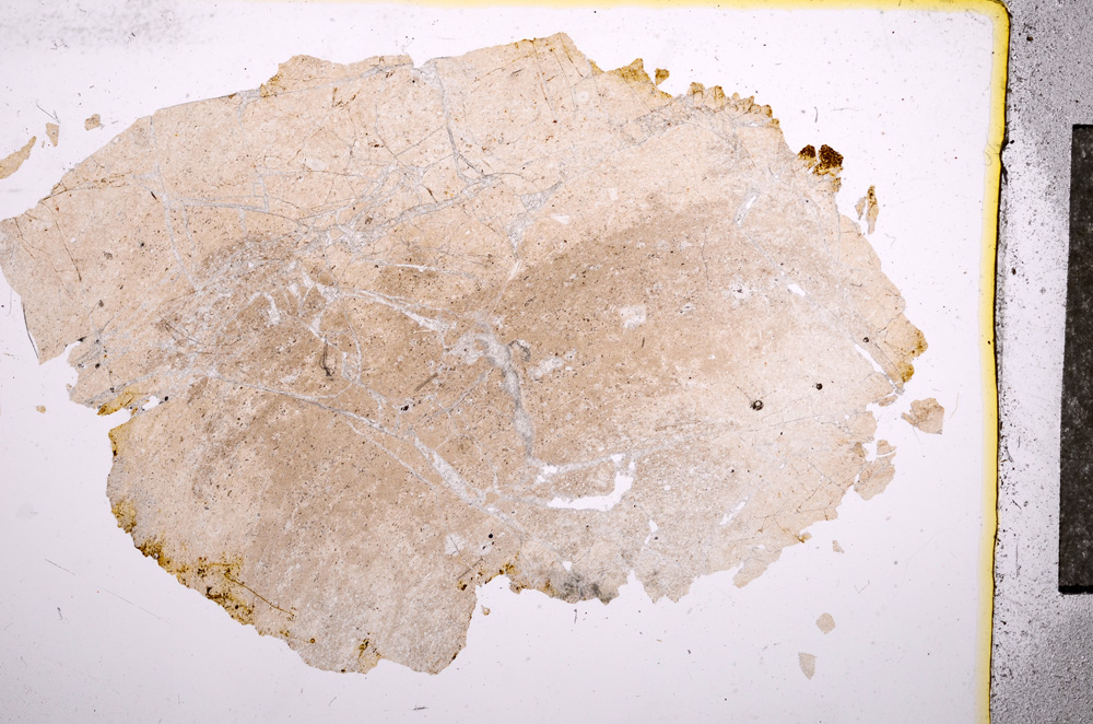 Plane Polarized, E6646